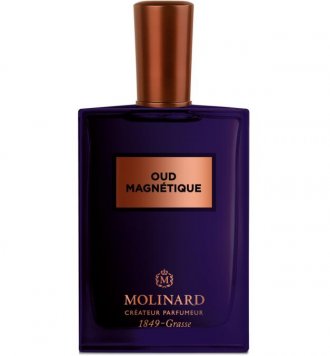 Oud Magnetique Eau de Parfum