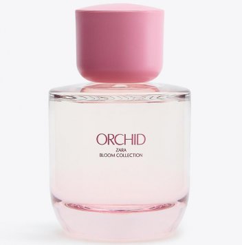 Orchid