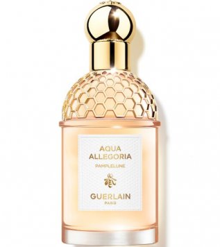Aqua Allegoria Pamplelune