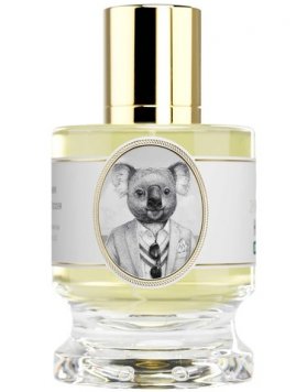 Koala Joey Edition