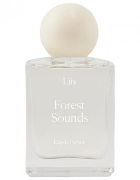 Forest Sounds