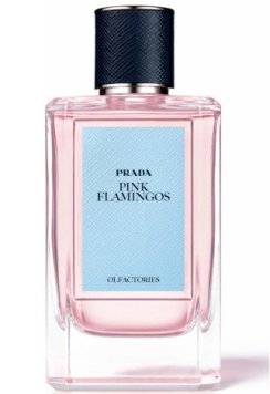 Olfactories: Pink Flamingos