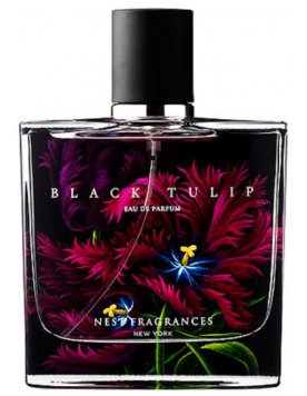 Black Tulip