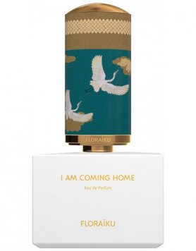 I Am Coming Home