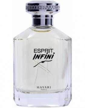 Esprit Infini