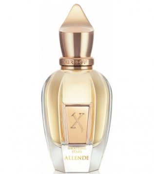 Shooting Stars Collection: Allende