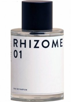 Rhizome 01