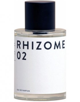 Rhizome 02