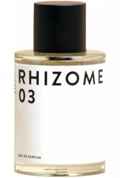 Rhizome 03