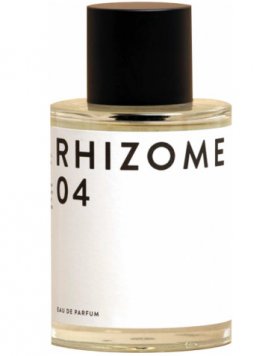 Rhizome 04