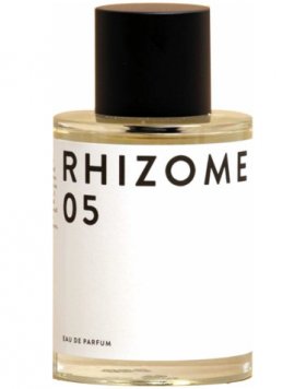 Rhizome 05