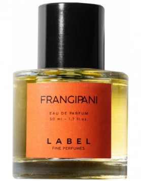 Frangipani