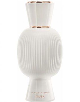 Allegra: Magnifying Musk