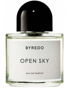 Open Sky