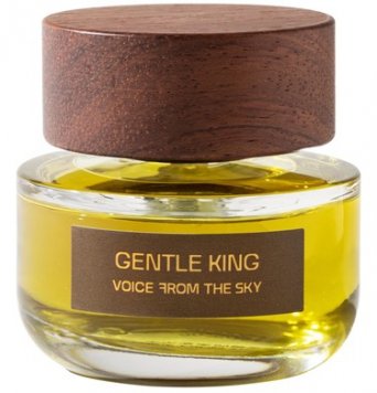 Gentle King 温柔的狮
