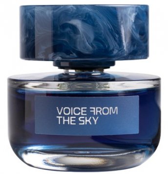 Voice From The Sky 天乐