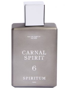 6 Carnal Spirit