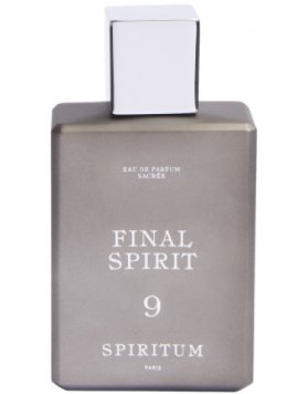 9 Final Spirit