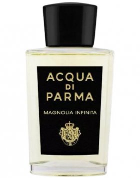 Magnolia Infinita