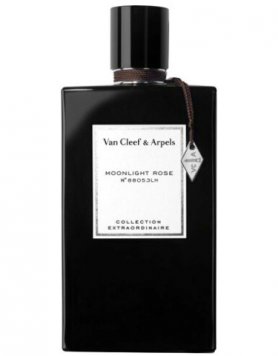 Collection Extraordinaire Moonlight Rose