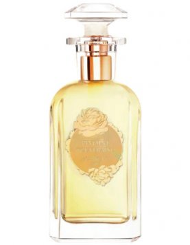 Pivoine Souveraine