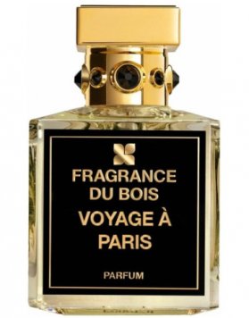 Voyage a Paris