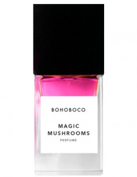 Magic Mushrooms