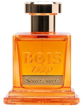Scorzaforza