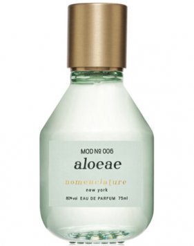 Aloeae
