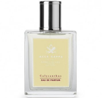 Calycanthus