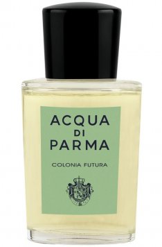 Colonia Futura