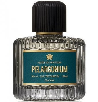 Pelargonium