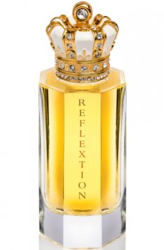 Reflextion