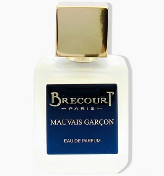 Mauvais Garcon