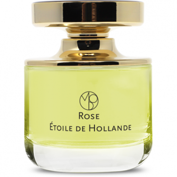 Rose Etoile de Hollande