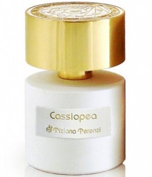 Cassiopea