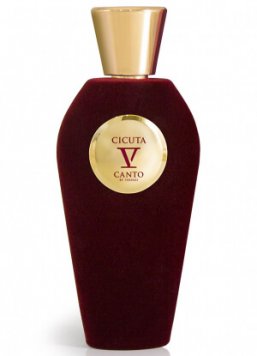 Cicuta