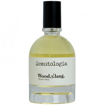 Wood.y2.lang