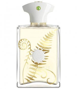 Bracken for Men
