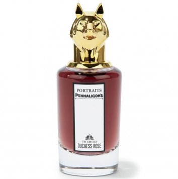 Portraits Collection: The Coveted Duchess Rose
