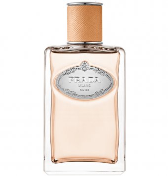 Infusion de Santal Chai