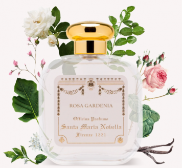Rosa Gardenia